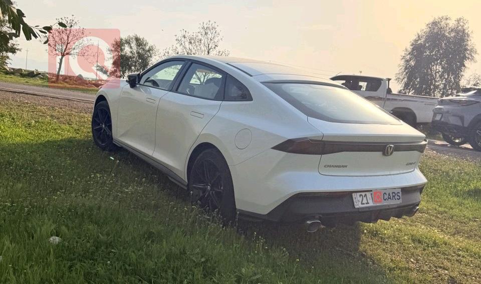 شانجان يوني في